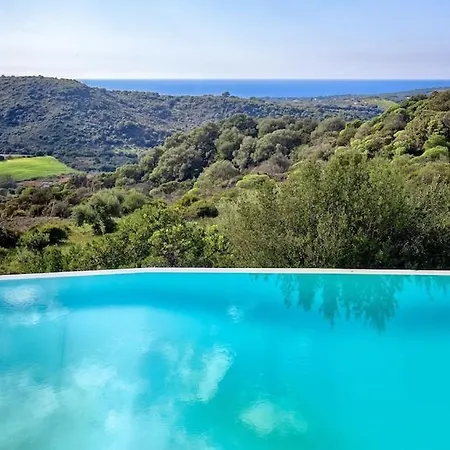Emmeline Fronte Mare 5 6 Bagni Infinity Pool Wifi Per 12 Persone Villa Alghero