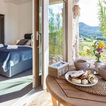 Emmeline Fronte Mare 5 6 Bagni Infinity Pool Wifi Per 12 Persone Alghero